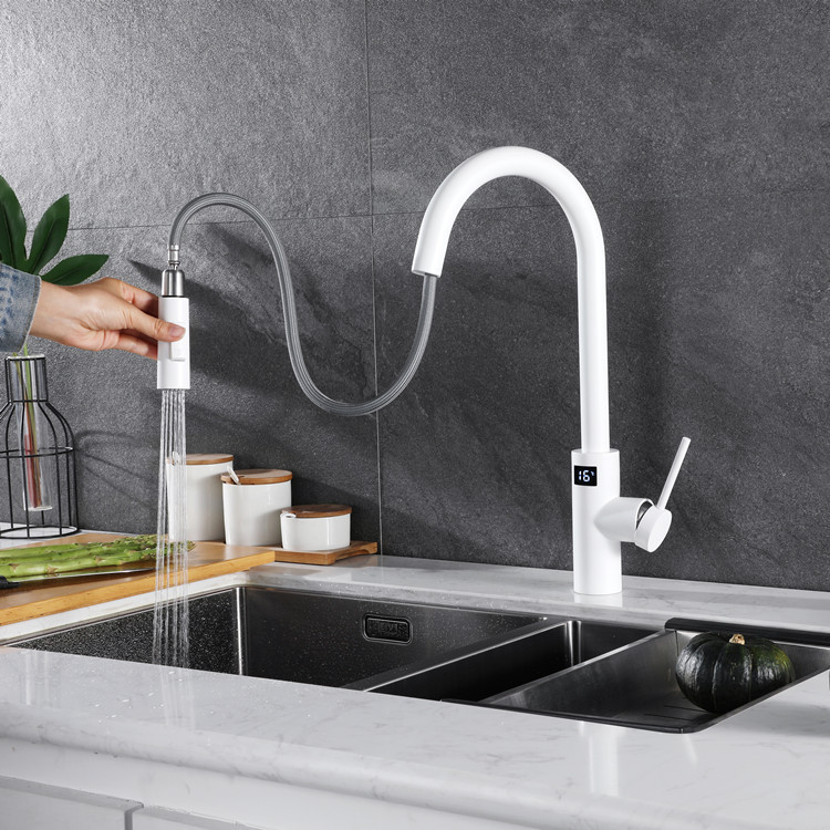 White Touch on Digital Kitchen - Commercial Kitchen Faucets のレビューと価格